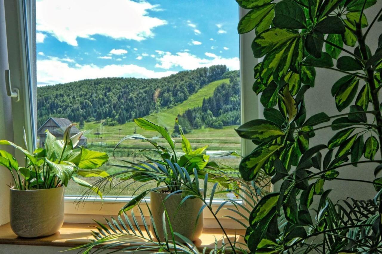 Hotel Prenocisca Miklavcic à Nova Vas  Extérieur photo