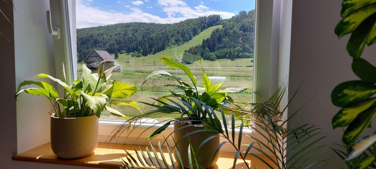 Hotel Prenocisca Miklavcic à Nova Vas  Extérieur photo