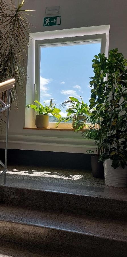 Hotel Prenocisca Miklavcic à Nova Vas  Extérieur photo