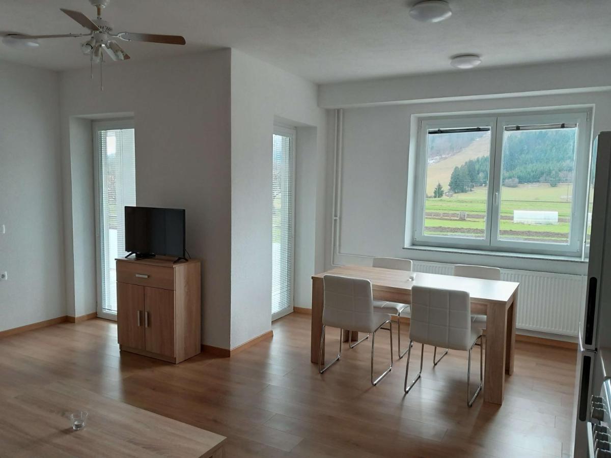 Hotel Prenocisca Miklavcic à Nova Vas  Extérieur photo